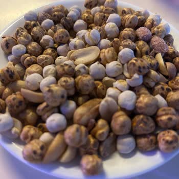 Sunis Elita Beach Resort Hotel Bizi Hayal Kırıklığına Uğratan Otel!