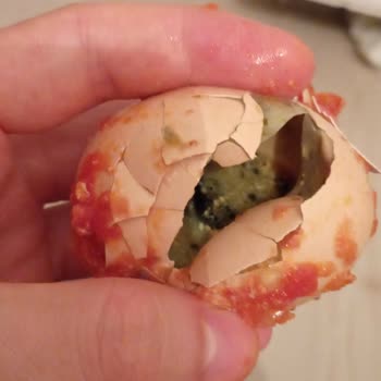 Ercanlar Yumurtaların Bozuk Çıkması.