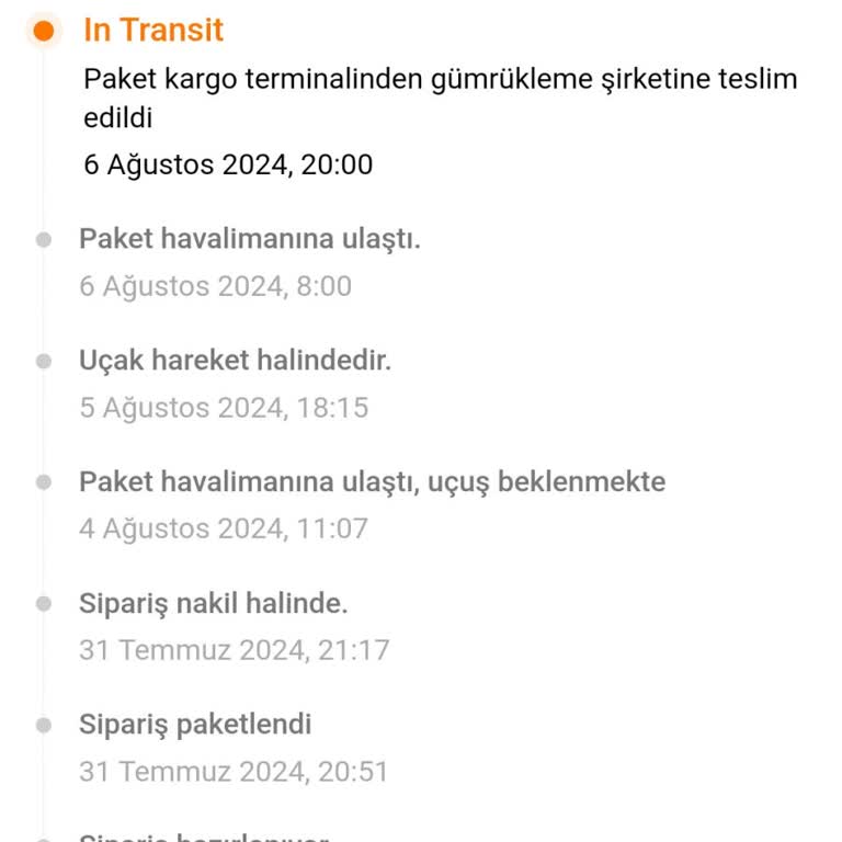 MNG Kargo Temu Siparişlerini Gumrukte Geciktiriyor.