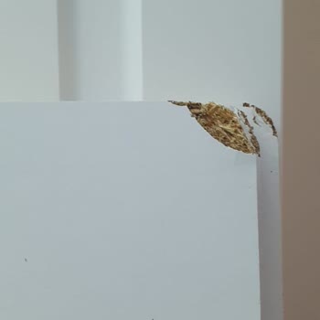 PTT Kargo Epttavm Pişmanlığı Ve Yardımcı Olmayan Temsilci Silsilesi