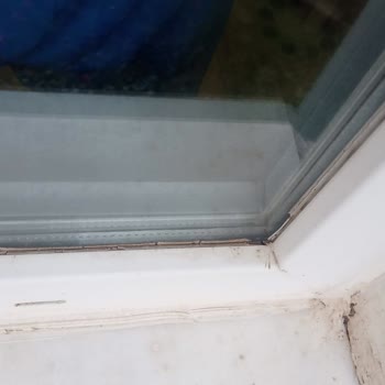 Adopen Pencere Fitilleri Beklentileri Karşılamıyor