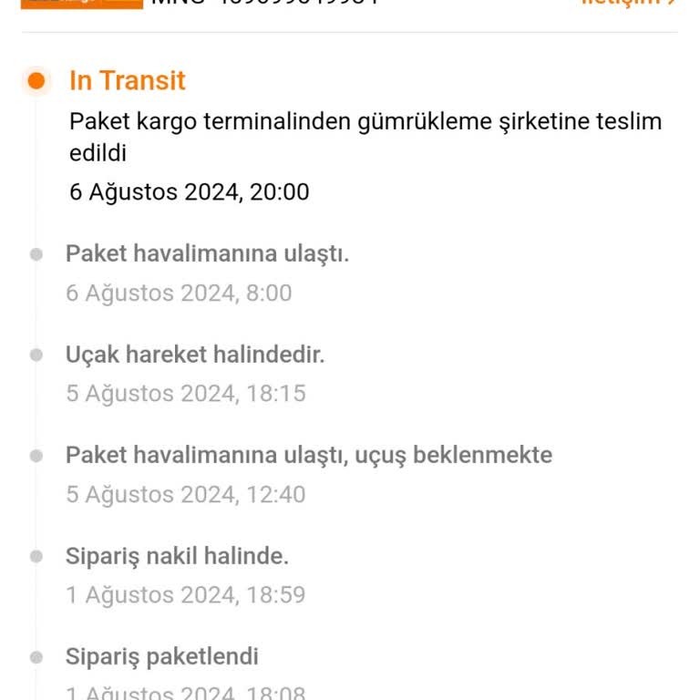 Temu MNG Gümrük Sorunu