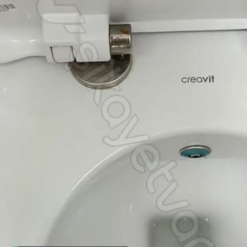 Creavit Paslanma!