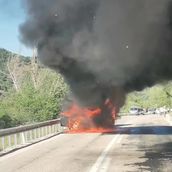 Ray Insurance Rejects My Car Fire Insurance Claim