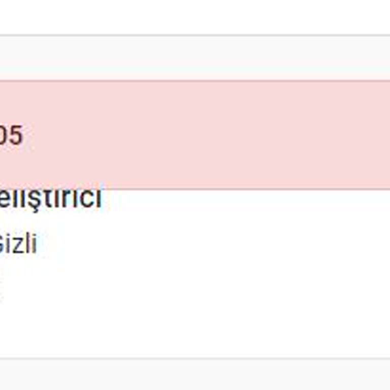 Kariyer.net İş Başvuru Hatası