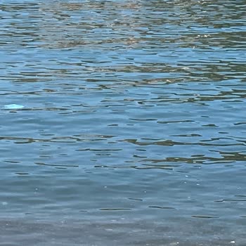 Amasra Belediyesi Amasra'da Beklenmedik Hayal Kırıklığı