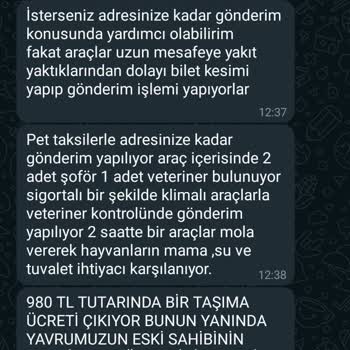 Patim.paticik Kedi Sahiplendirme İlanı Üzerinden Mağduriyet Yaşadım