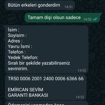 Patim.paticik Kedi Sahiplendirme İlanı Üzerinden Mağduriyet Yaşadım