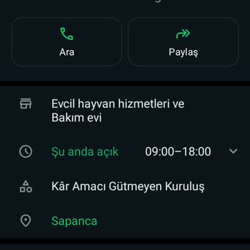 Patim.paticik Kedi Sahiplendirme İlanı Üzerinden Mağduriyet Yaşadım