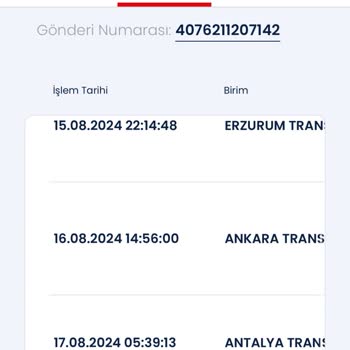 Aras Kargo Kargo Teslimatında Yaşanan Karmaşa Ve Gecikme