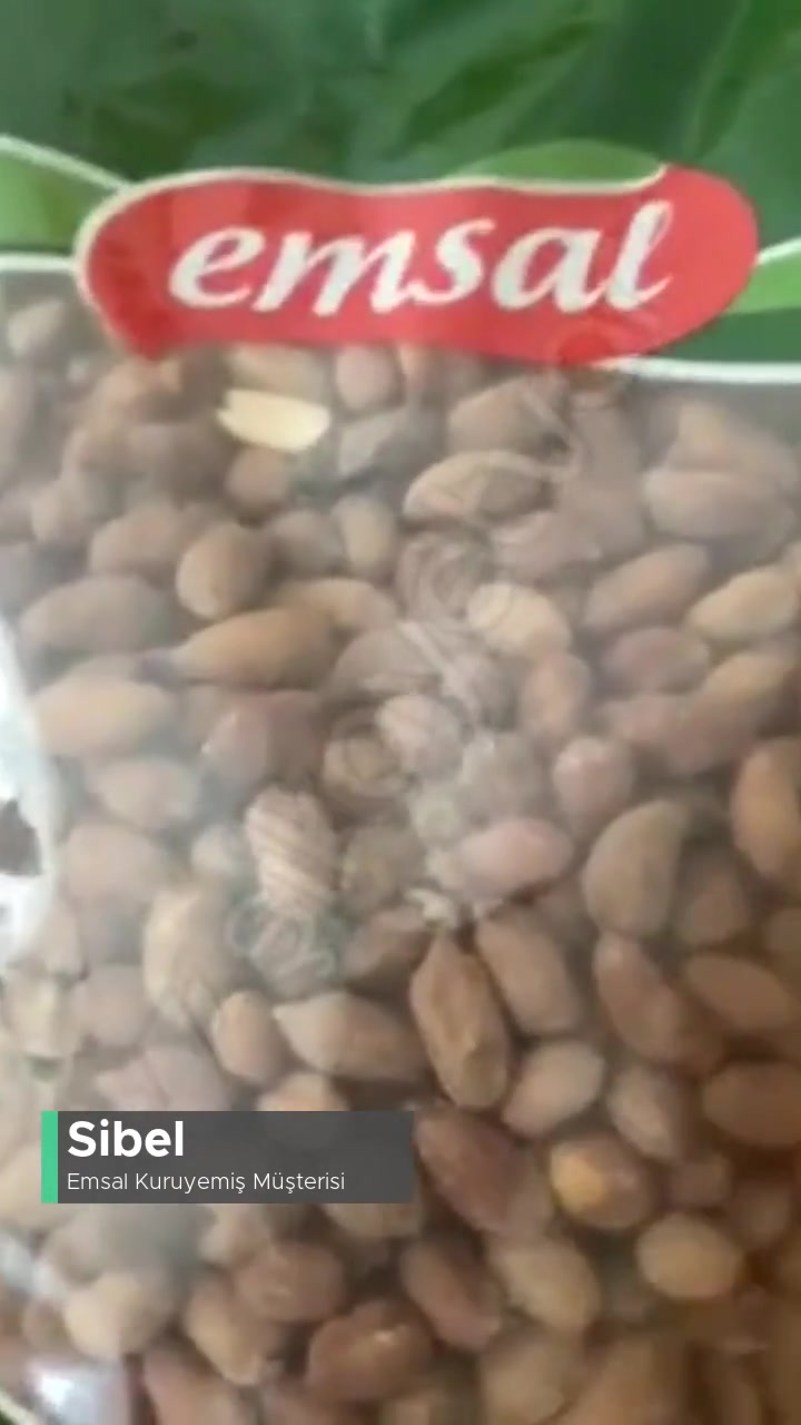 Emsal Kuruyemiş Güve Kelebeği İle Bozulmuş Kuruyemiş videonun kapak resmi