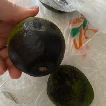 Migros Hemen'den Gelen Bozuk Ürünler Ve İlgisizlik