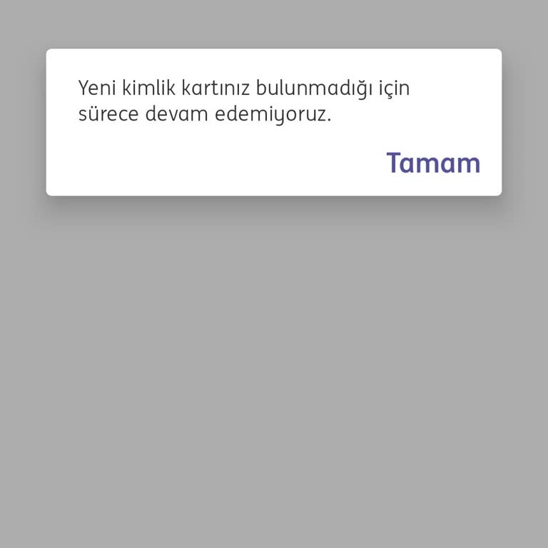 ING Mobil Bankacılığa Giriş Yapamıyorum