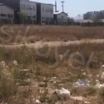 Selçuklu Belediyesi (Konya) Çevre Kirliliği Ve Kötü Koku
