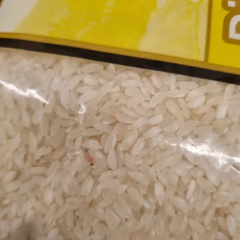 Anadolu Mutfağı Paketli Ürünlerin İçerisinde Ki Kurtlu Pirinçler