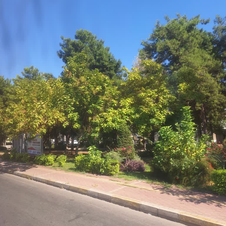 Samancı Seyahat Vurdumduymazlığı. Lütfen Dikkate Alınsın