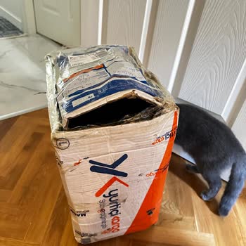 Unifree Duty Free Kargo Hasarı Ve İlgisiz Müşteri Hizmetleri!