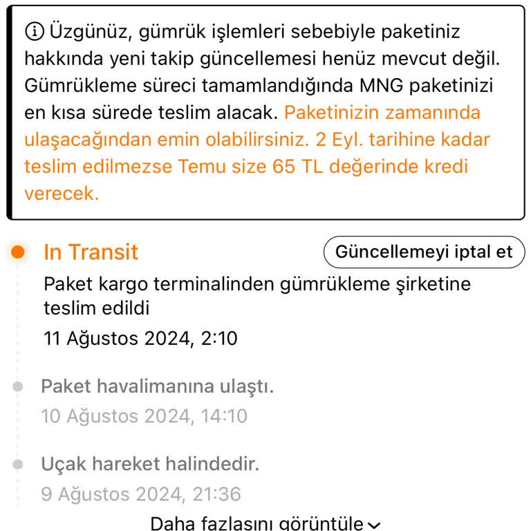 Temu Gümrükleme Süreci Daha Ne Kadar Sürecek?