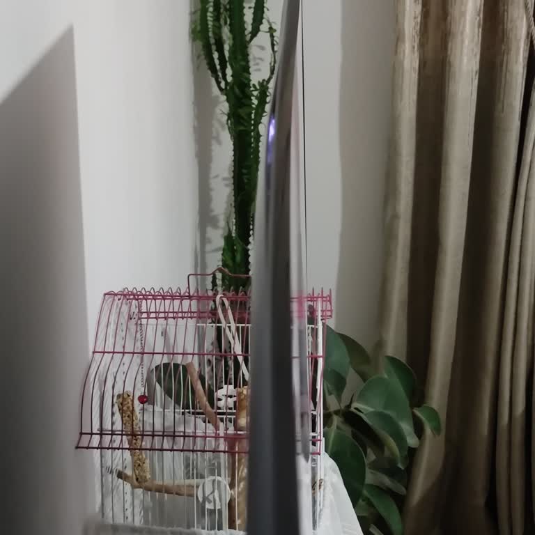 Samsung Ayıplı Ürünü İade De Kayboldu!