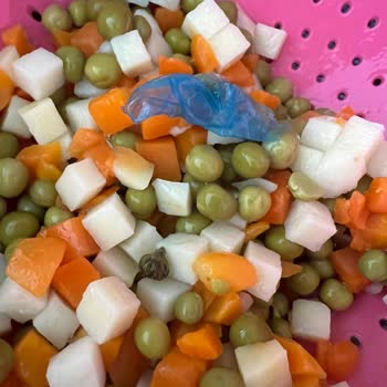 Tat Gıda Tat Garnitürden Çıkan Plastik