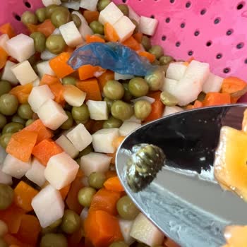 Tat Gıda Tat Garnitürden Çıkan Plastik