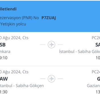 Pegasus'un Bagaj Umursamazlığı