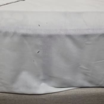 Booking.com Cleanliness and Hygiene Problems at Maduro Hotel
