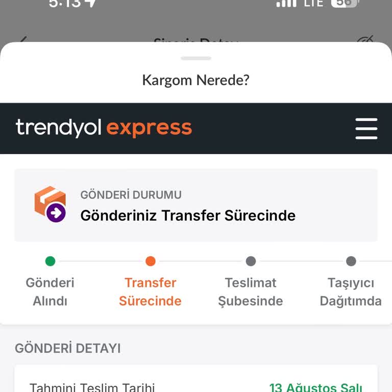 Trendyol Express Kargomu Transferde Bekletiyor
