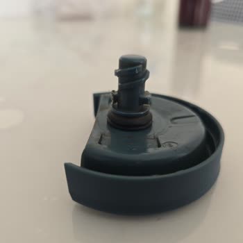 Stanley Kutup Ayısının İlgisizliği