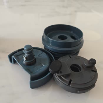 Stanley Kutup Ayısının İlgisizliği