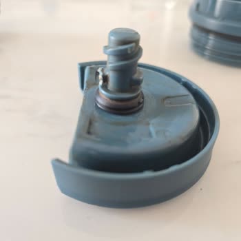 Stanley Kutup Ayısının İlgisizliği