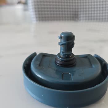 Stanley Kutup Ayısının İlgisizliği