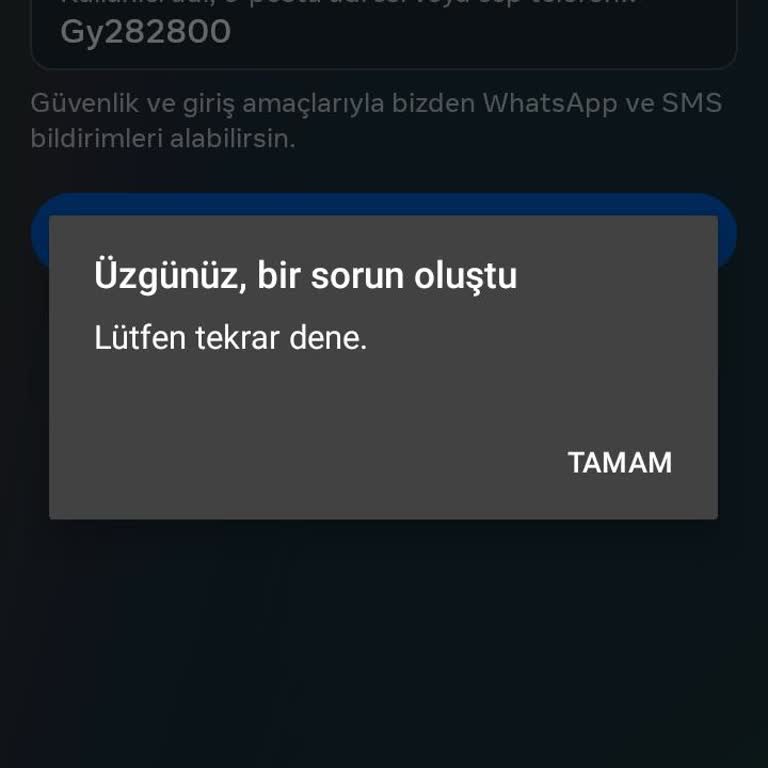 Instagram Hesabım Askıya Alındı Bir Şey Yokken Askıya Alınıyor