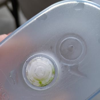 Brita Sürahide Yosun Tutma Sıkıntısı
