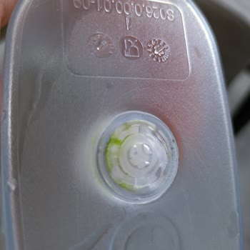 Brita Sürahide Yosun Tutma Sıkıntısı