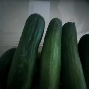 Getir Sebze Ve Meyvelerin Kalitesi Hakkında Şikayet