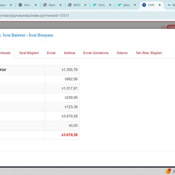 Zorlu Elektrik Enerjisi İthalat İhracat ve Toptan Ticaret A.Ş. 2000 Tl Altı Borç Silme