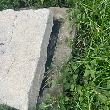 Etstur 'da Korkunç Villa Deneyimi