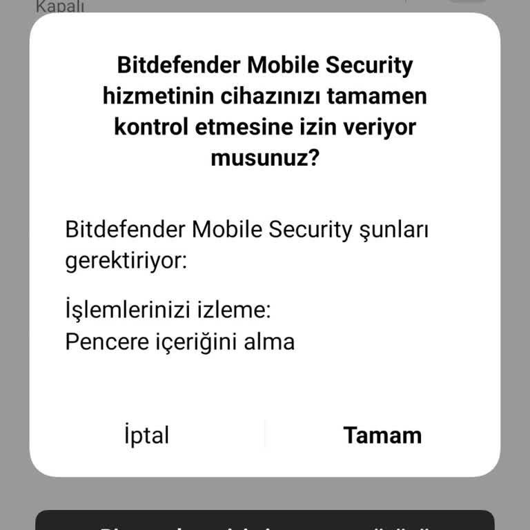 Oppo A91 Yardımcı Küre Sorunu