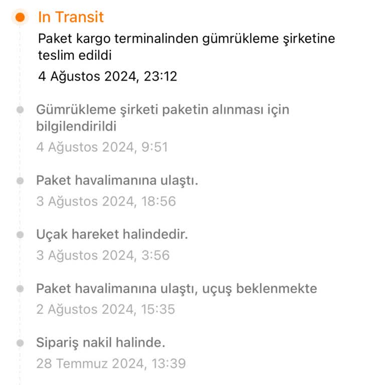 Temu Siparişlerinin MNG Kargo Gümrük Problemi