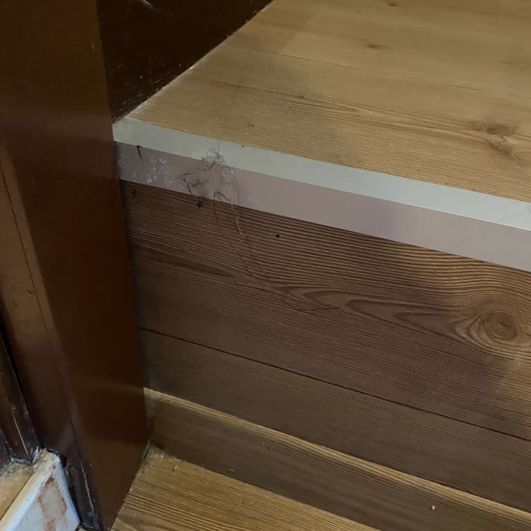 Park Polonezköy Hotel Otelin Hijyen Ve Hizmet Kalitesi Hakkında Yaşadığım Sorunlar