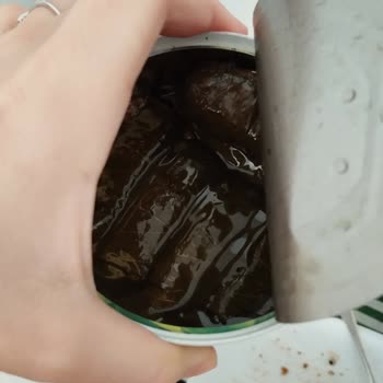 Tat Gıda Kötü Tat Ve Koku: Sarma Hayal Kırıklığı