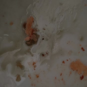 Tat Gıda Kötü Tat Ve Koku: Sarma Hayal Kırıklığı