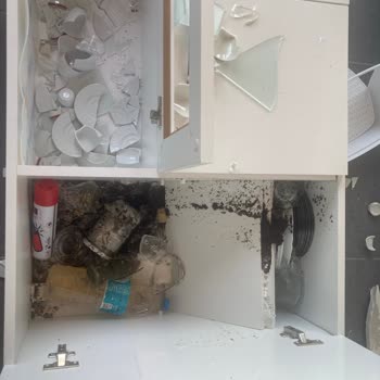 Anadolu Sigorta Şirketinin Ekspertiz Ve Hizmet Sorunları