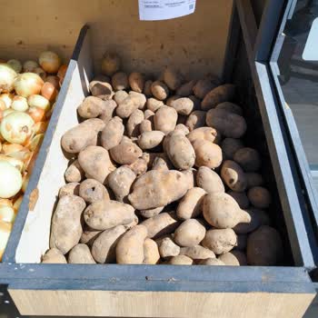 A101 Çürük Ürün Satıyor