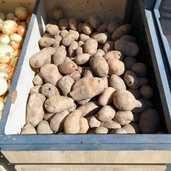 A101 Çürük Ürün Satıyor