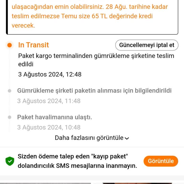 Temu Da Gümrük Sıkıntısı. Bunu Okumadan Sipariş Verme