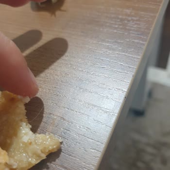 Hakmar Gıdadan Kıl Çıkması