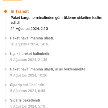 Temu Gümrükte Kalma Sorunu