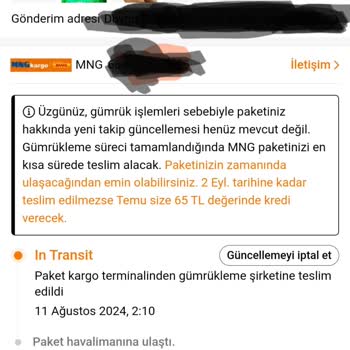Temu Gümrükte Kalma Sorunu
